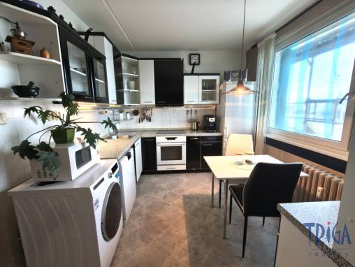 Hradec Králové - Prostorný byt 5+1 s lodžií foto 1