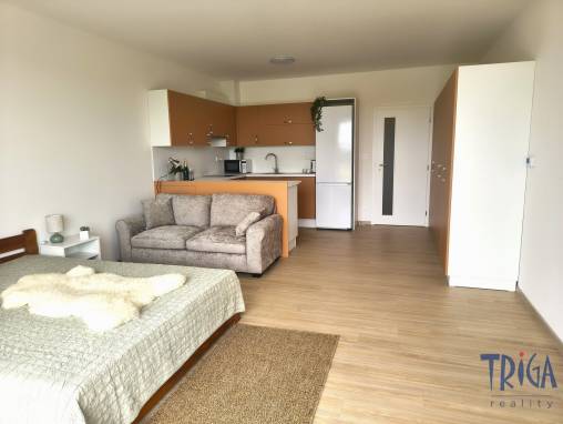 Apartment for rent, 1+kk, 36 m² foto 1