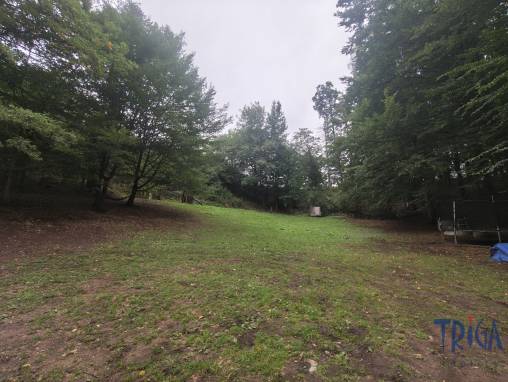 Náchod - Prodej souboru pozemků 5 859 m² foto 1
