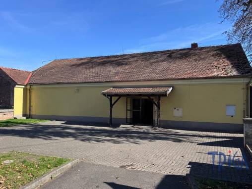 Commercial space for rent, Shopping centre, 185 m² foto 1