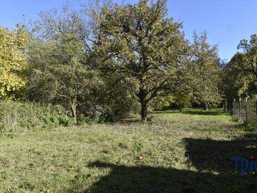 Starý Bydžov - Prodej pozemku 1 366  m² s původní stavbou foto 1