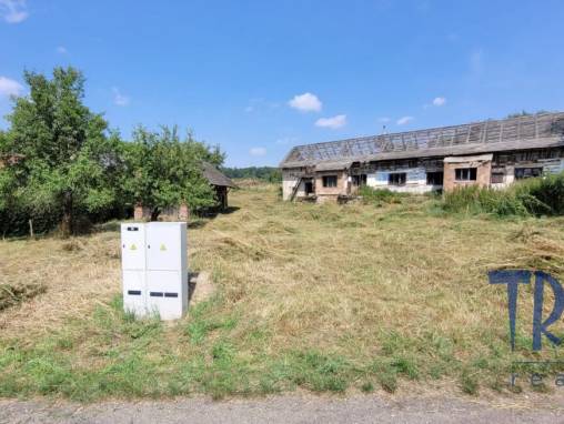 Lužany - starší rodinný dům s pozemkem 1656  m² foto 1