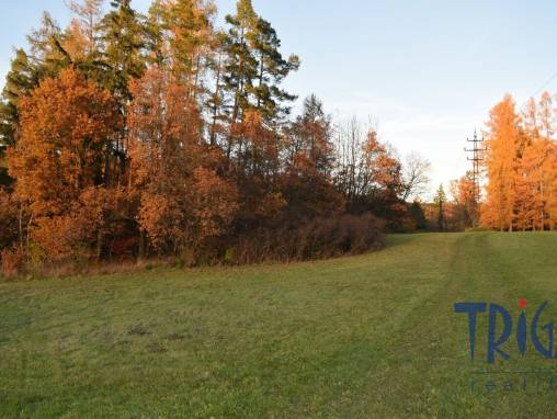 Bílá Třemešná - Pozemek nedaleko od přehrady Les Království foto 1