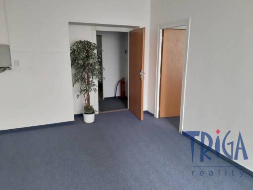 Commercial space for rent, Offices, 260 m² foto 1
