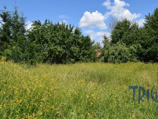 Jičín - Pozemek s možností výstavby v obci Hubálov u Jičína foto 1