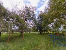 Střeziměřice - Prodej stavebního pozemku 2 066  m² foto 2