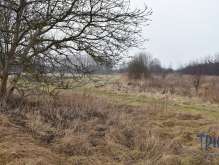 Velký Třebešov - Trvalý travní porost 1 685 m² foto 2