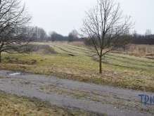 Velký Třebešov - Trvalý travní porost 1 685 m² foto 3