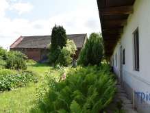 Jaroměř - Starý Ples - Rodinný dům s pozemkem 2 375  m² foto 3