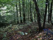 Land for sale, 13052 m² foto 3