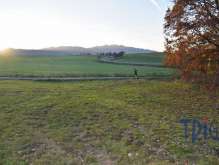 Bílá Třemešná - Pozemek nedaleko od přehrady Les Království foto 2