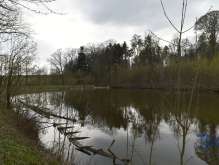 Land for sale, 44381 m² foto 3