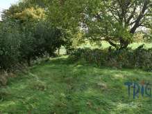 Land for sale, 3833 m² foto 3