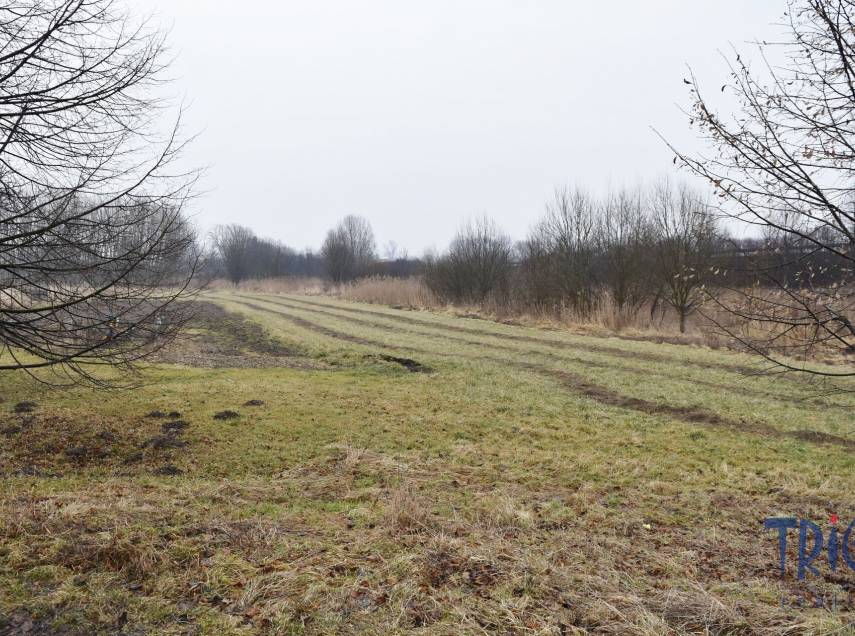Velký Třebešov - Trvalý travní porost 1 685 m²