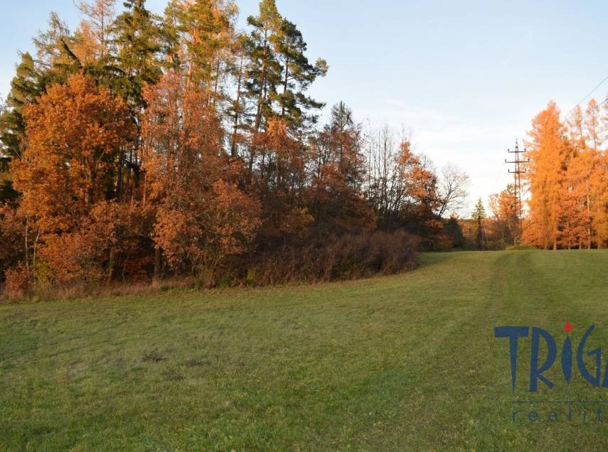 Bílá Třemešná - Pozemek nedaleko od přehrady Les Království
