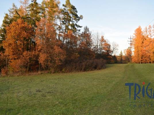 Bílá Třemešná - Pozemek nedaleko od přehrady Les Království