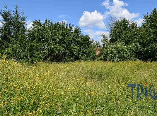 Jičín - Pozemek s možností výstavby v obci Hubálov u Jičína
